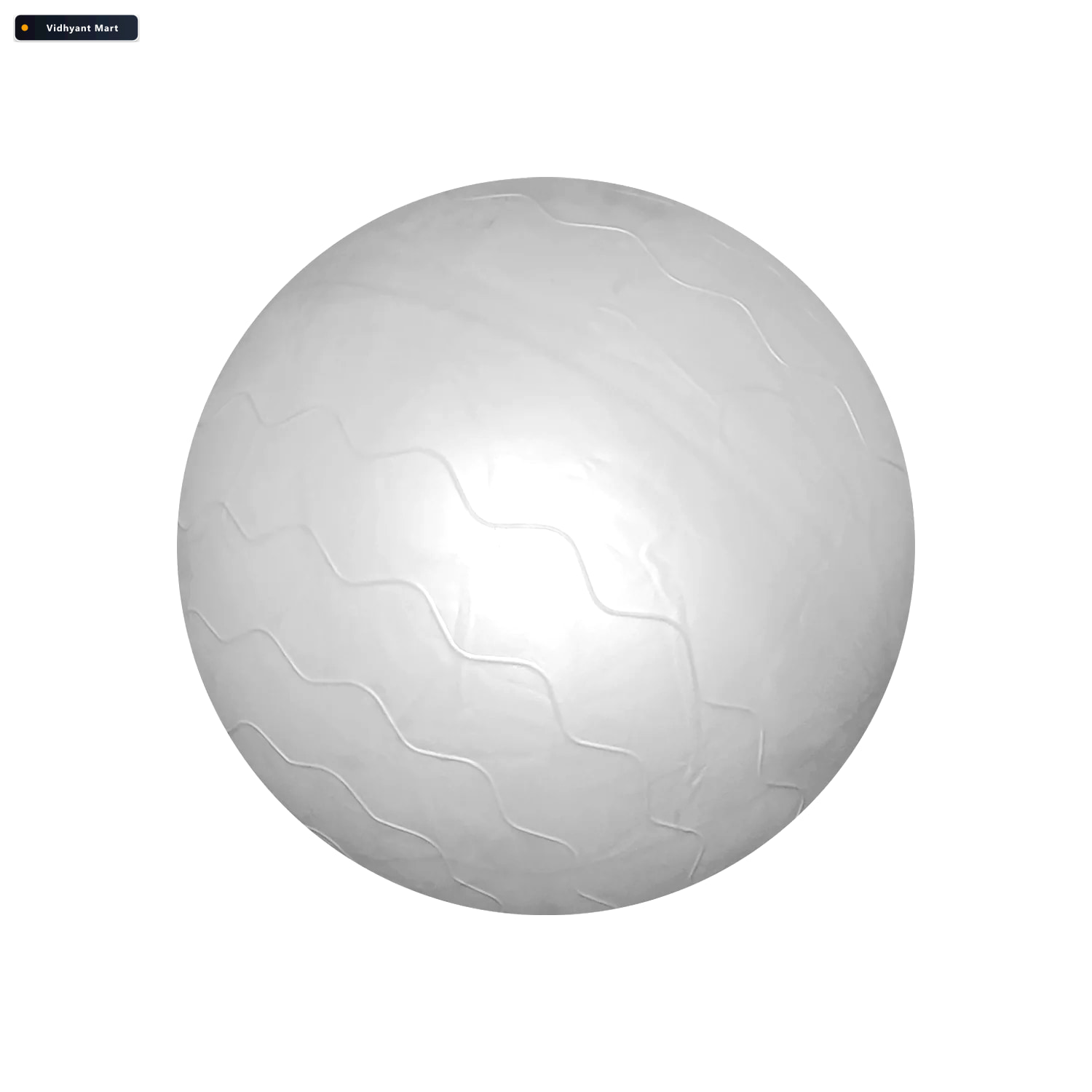 Vidhyant Mart 75 Cm Gym Stability Ball For Men Non Slip Core Tra 4
