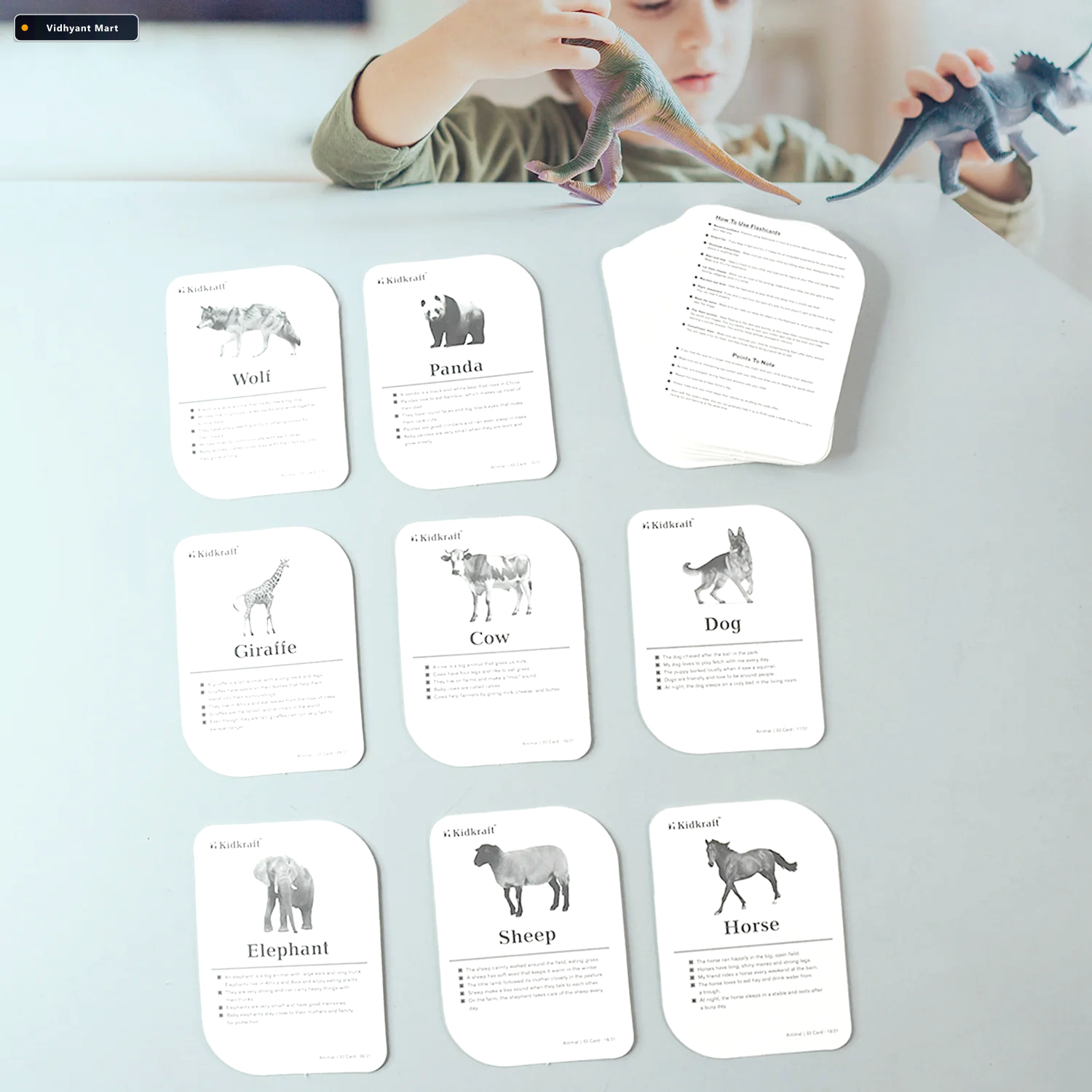 Vidhyant Mart Animal Flash Cards 32 Durable Laminated Educationa 3