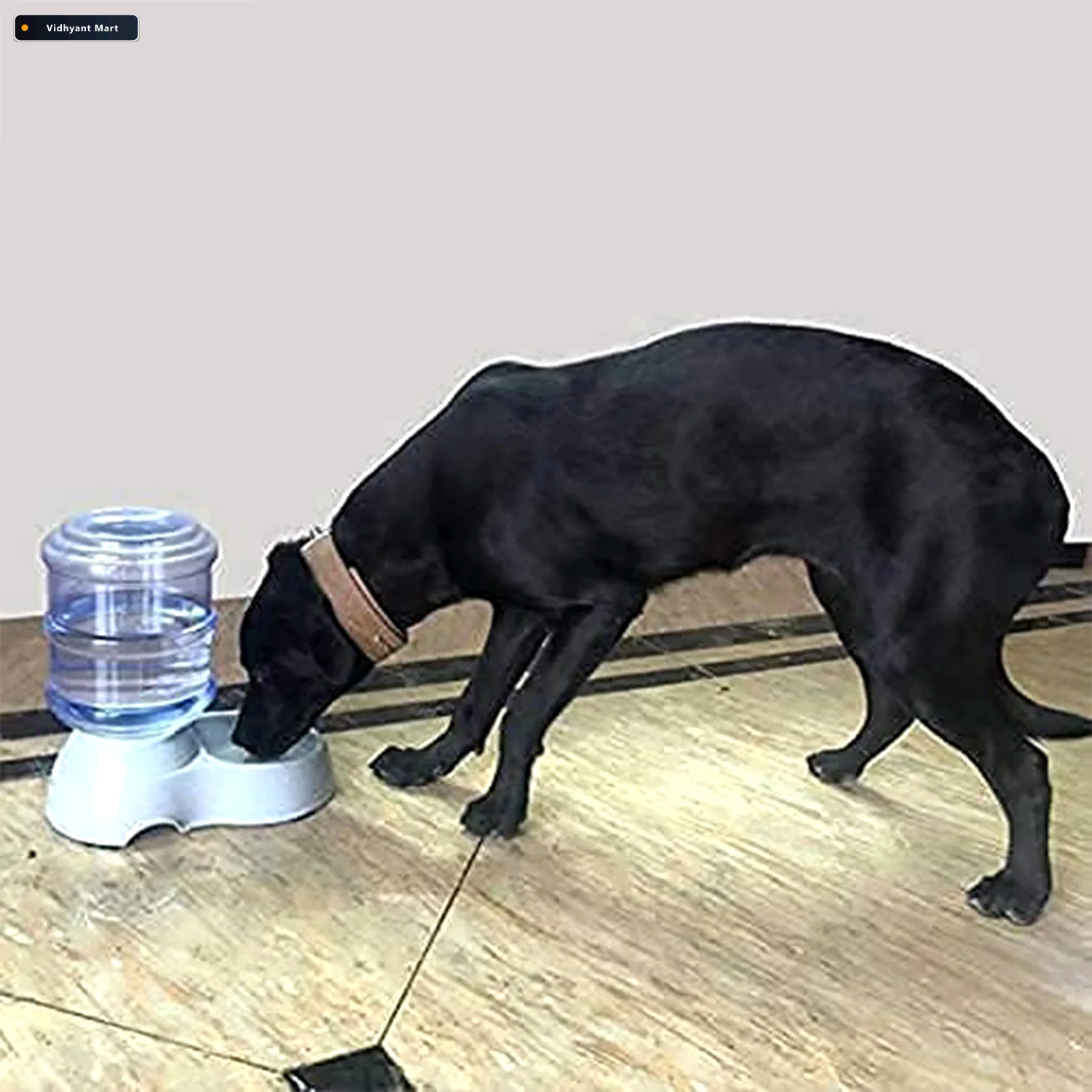 Vidhyant Mart Automatic Pet Water Food Dispenser Gravity Self Fe 1