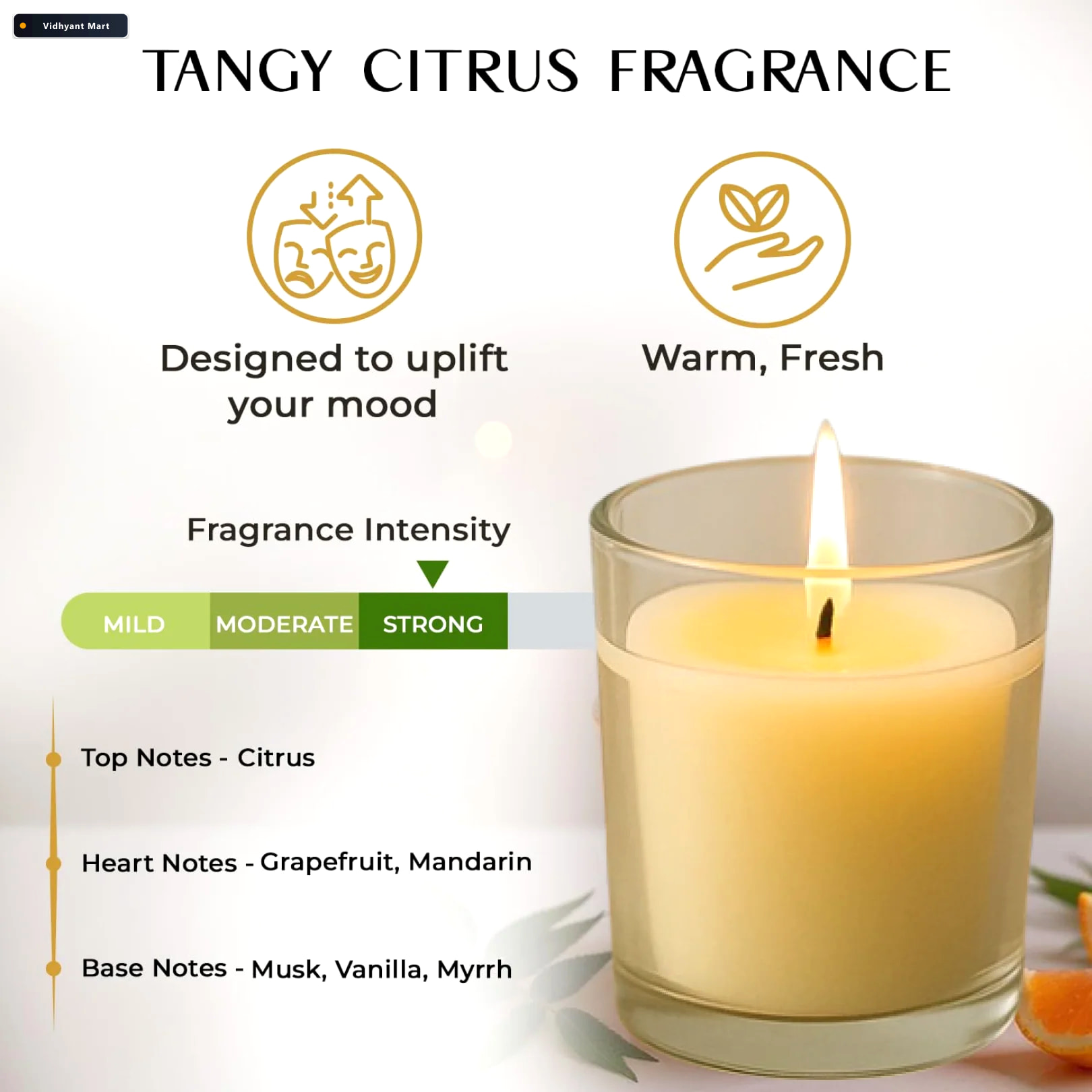 Vidhyant Mart Blueberry Scented Candle Soy Blend Votive In Glass 2