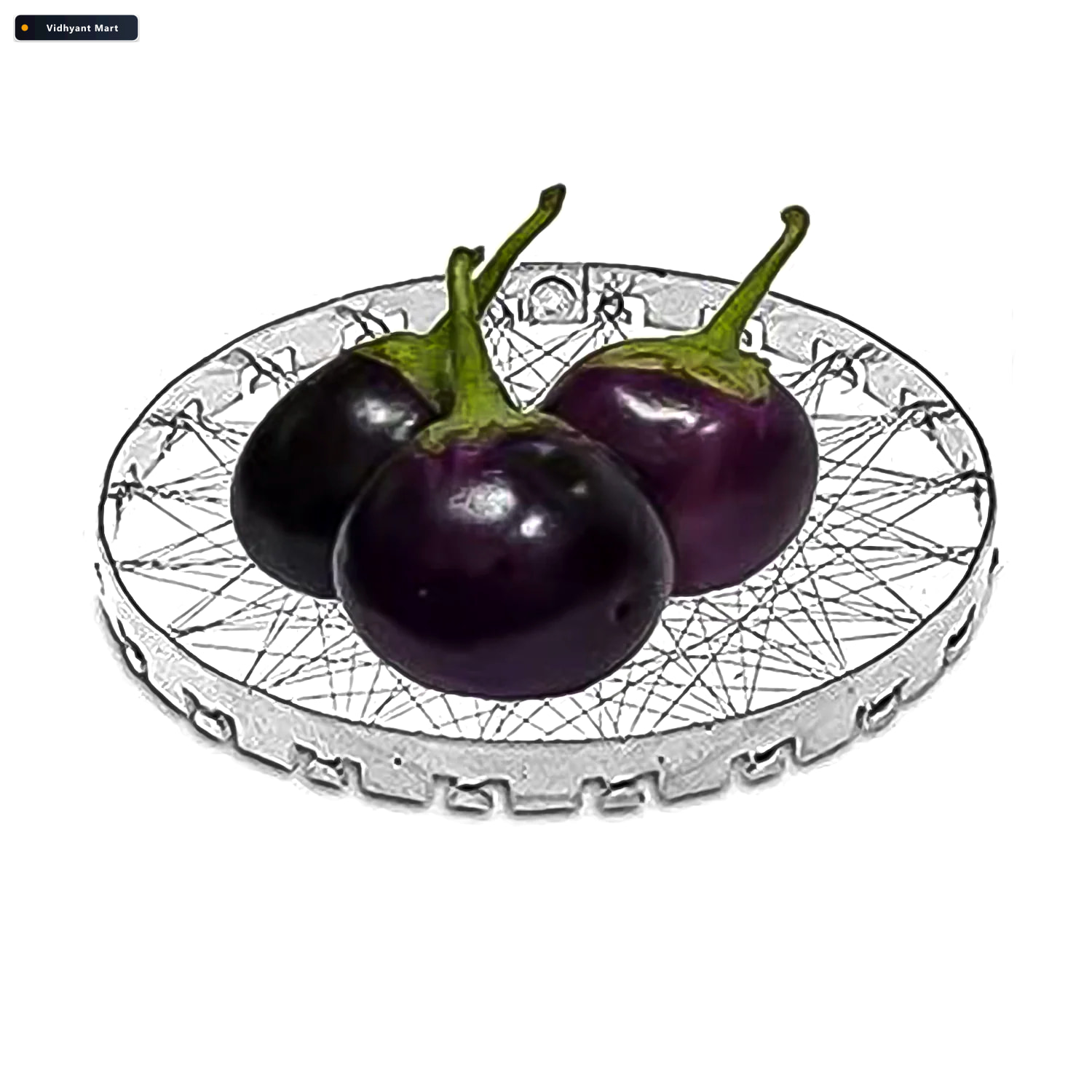 Vidhyant Mart Chota Tandoor Grill Gas Saver Stainless Steel Jall 4