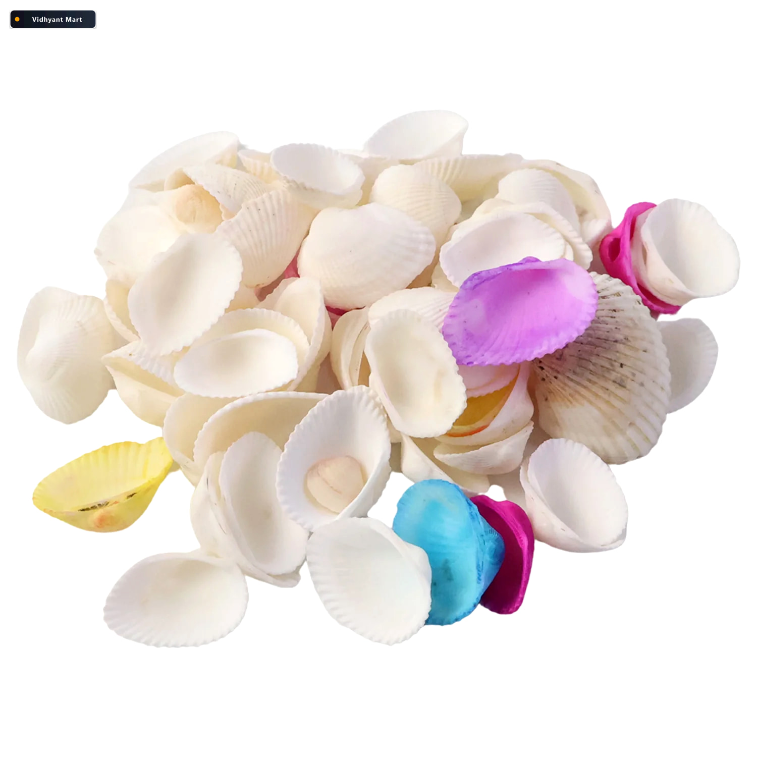 Vidhyant Mart Decorative Seashells Set Natural Vase Fillers For 4