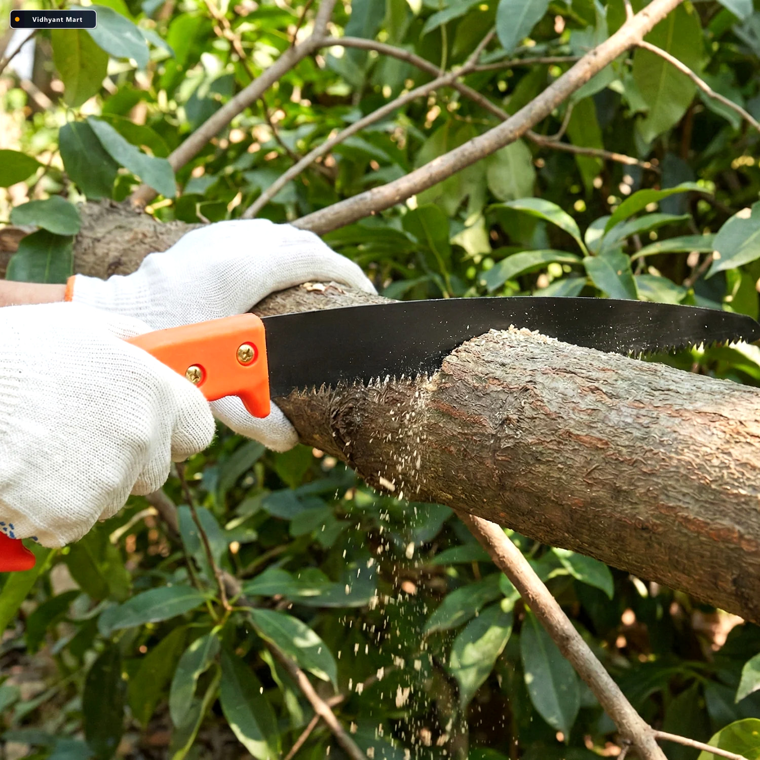 Vidhyant Mart Garden Pruning Tool Combo Heavy Duty Saw Sharp She 3