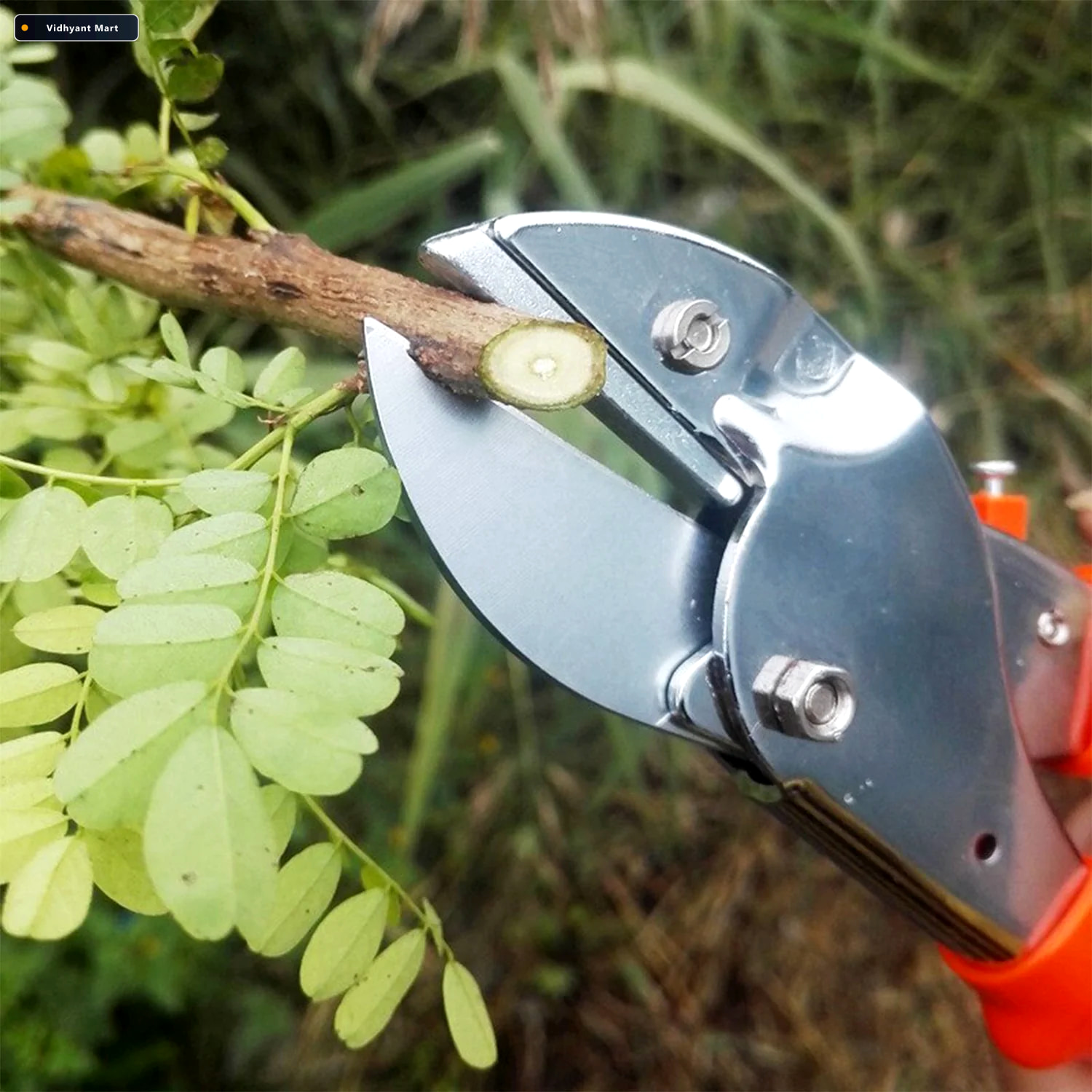 Vidhyant Mart Garden Scissors 18cm Sharp Blade Comfortable Handl 2
