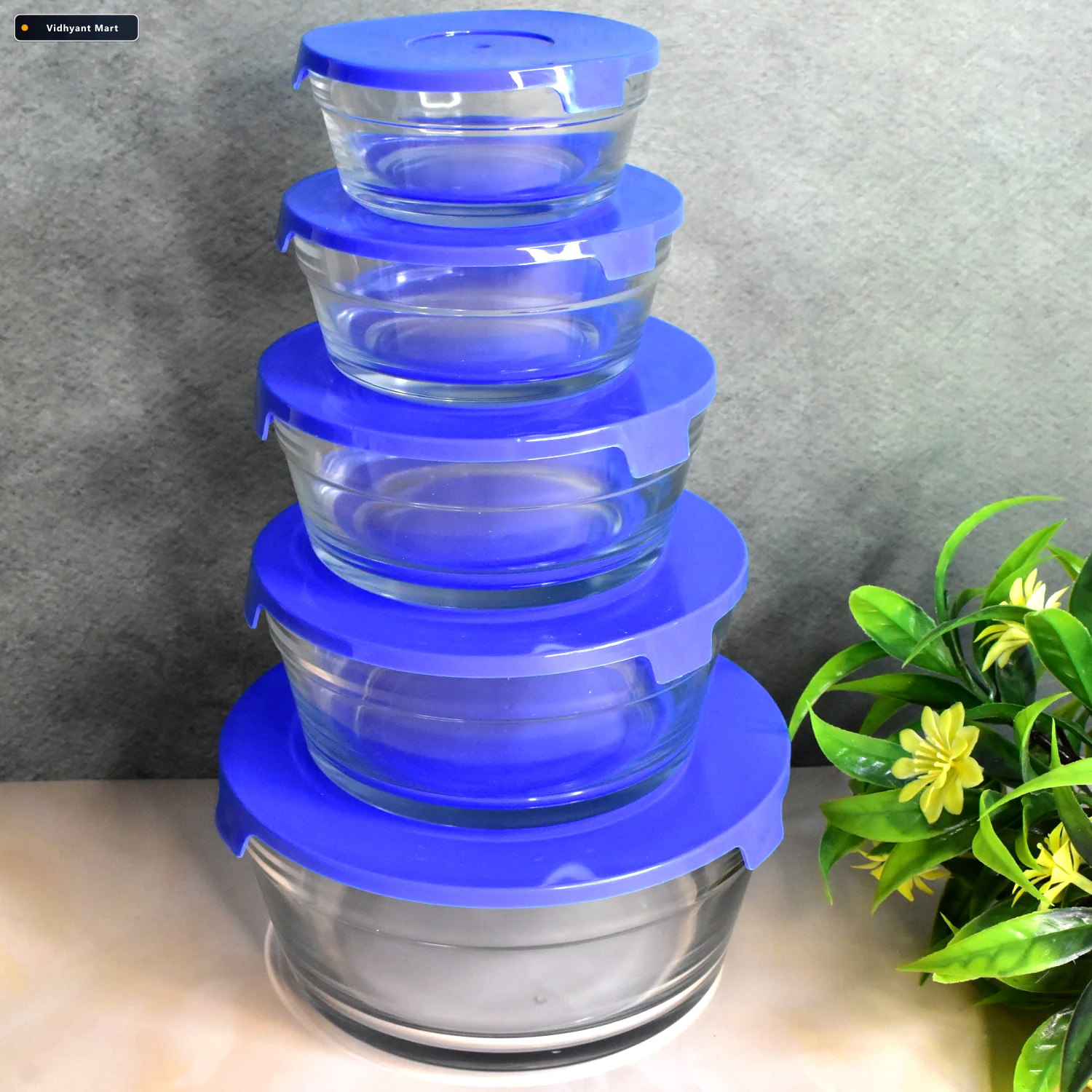 Vidhyant Mart Glass Bowl Set 5 Piece Modern Storage Organivo 1