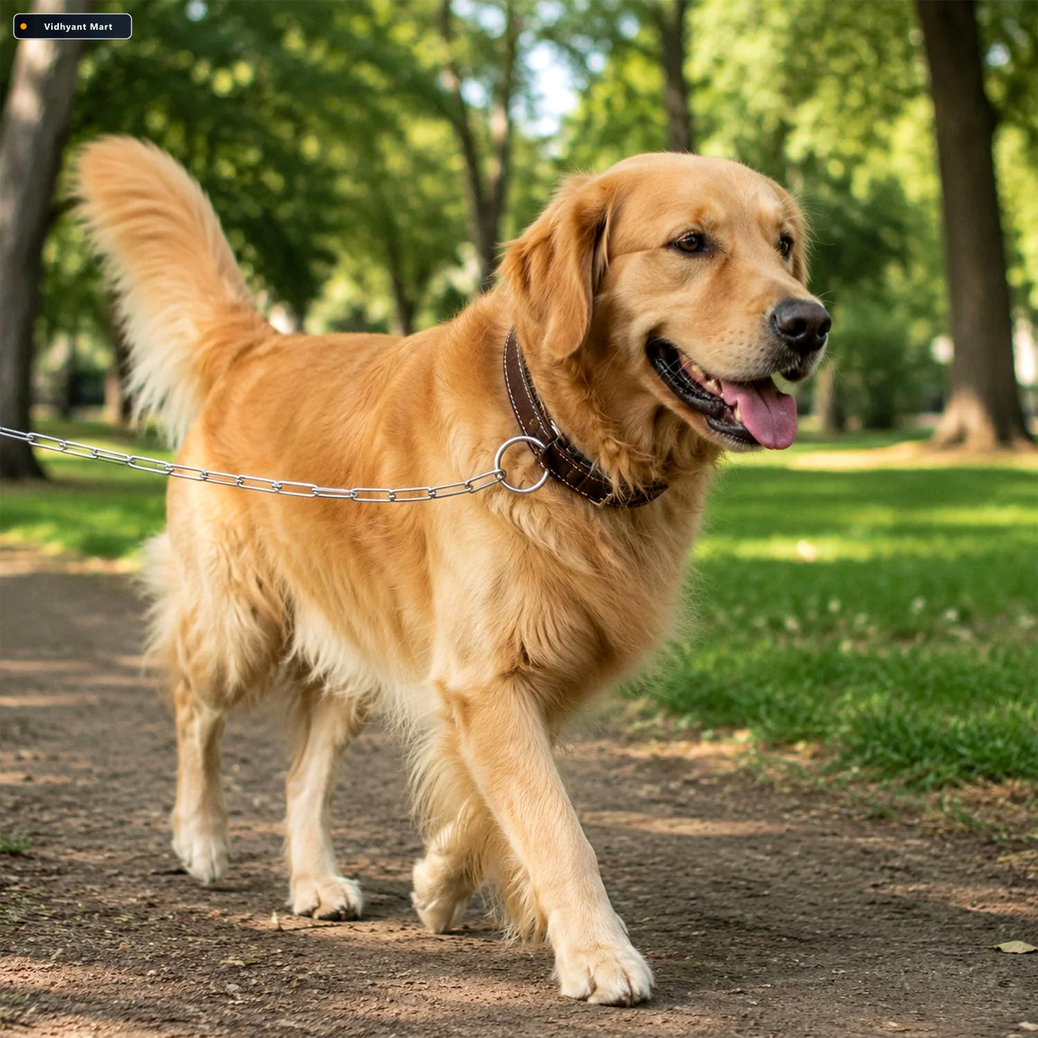 Vidhyant Mart Heavy Duty Dog Chain Leash Durable 67 Inch Pet Tet 1