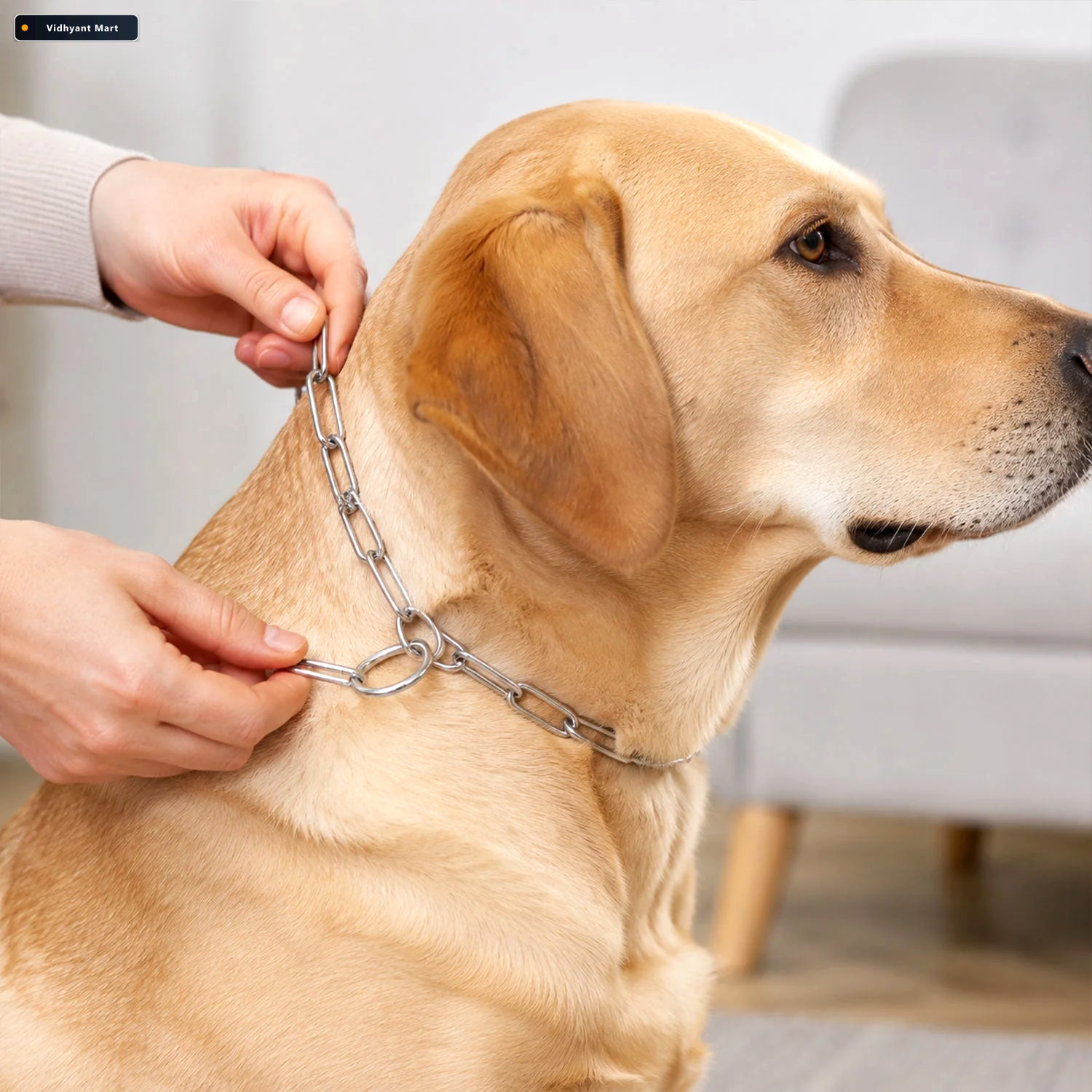 Vidhyant Mart Heavy Duty Dog Chain Leash Durable 67 Inch Pet Tet 2