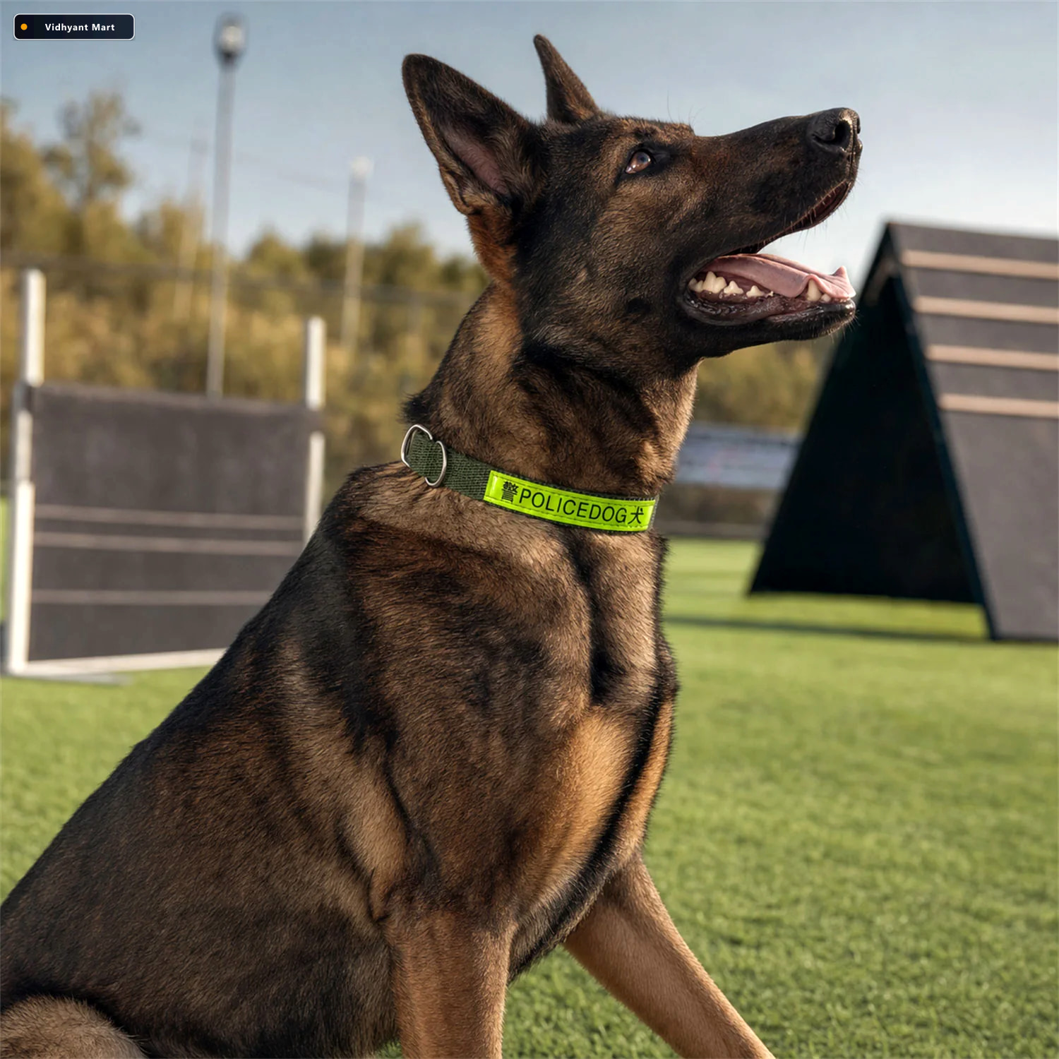 Vidhyant Mart Heavy Duty Nylon Dog Collar Reflective Adjustable 3
