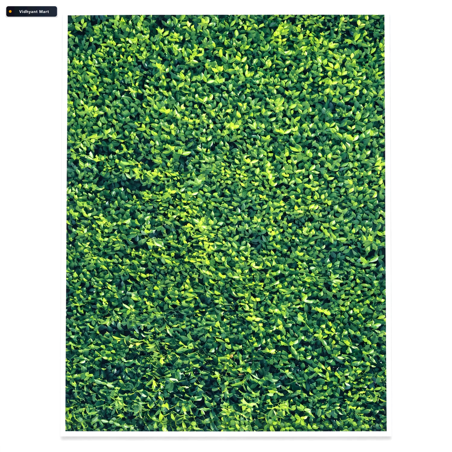 Vidhyant Mart Leaf Print Photography Backdrop Cloth For Product 4