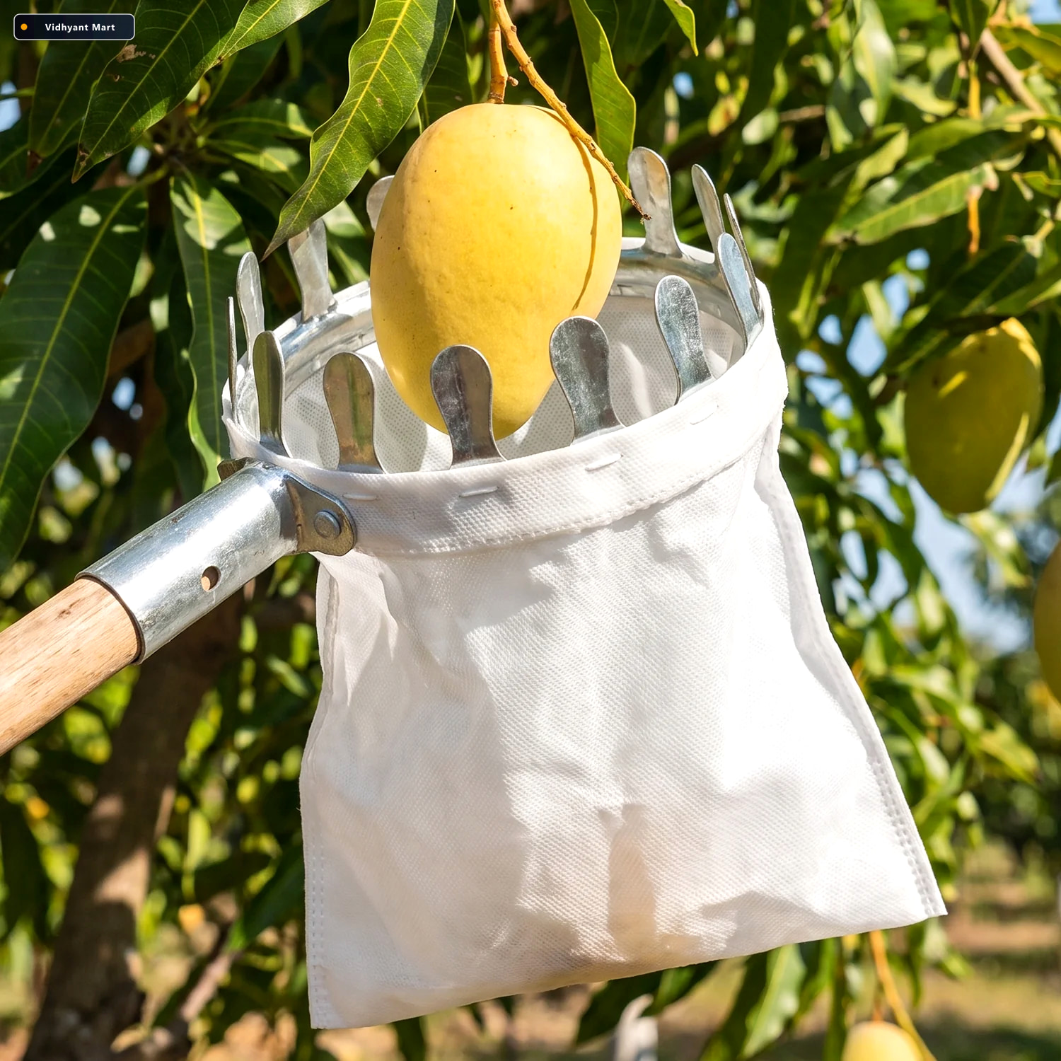 Vidhyant Mart Manual Fruit Picker Tool With Cotton Bag For Mango 1