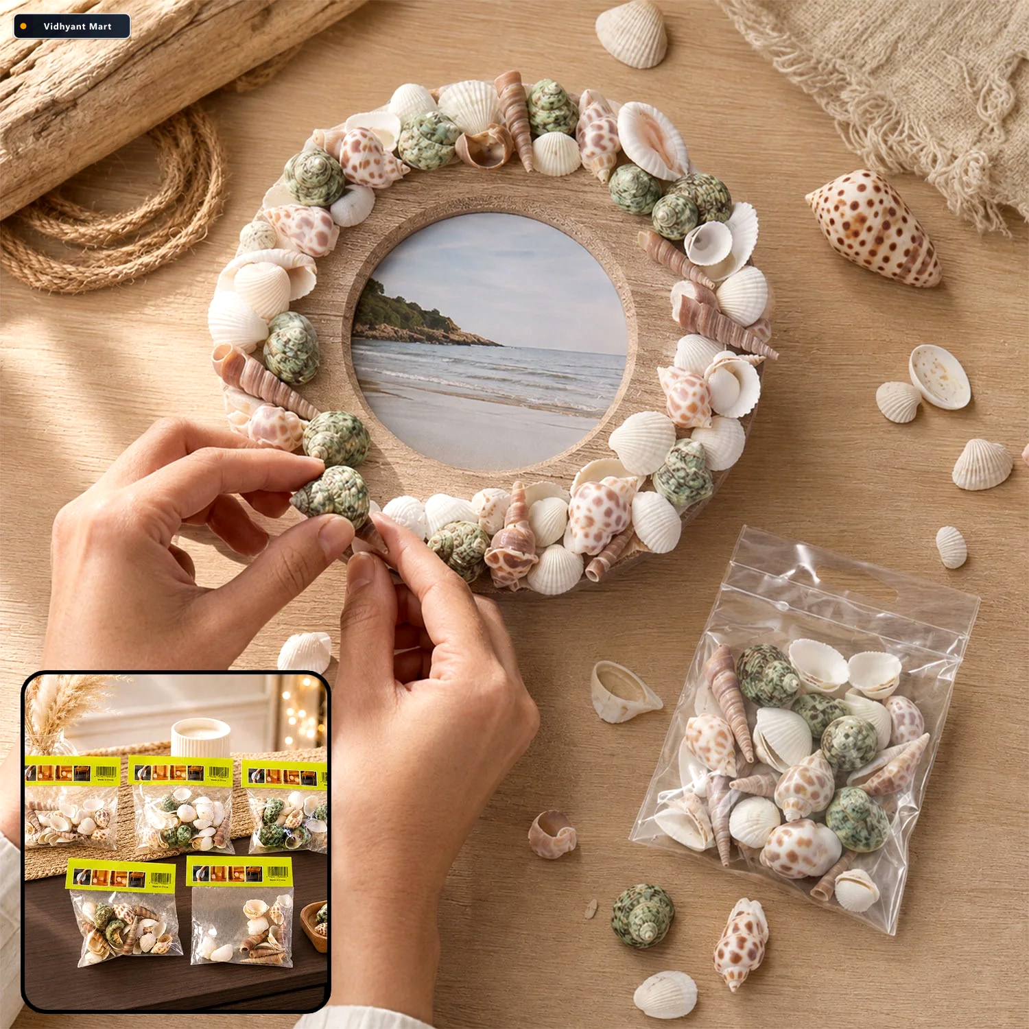 Vidhyant Mart Natural Decorative Seashells Set Coastal Charm For 1