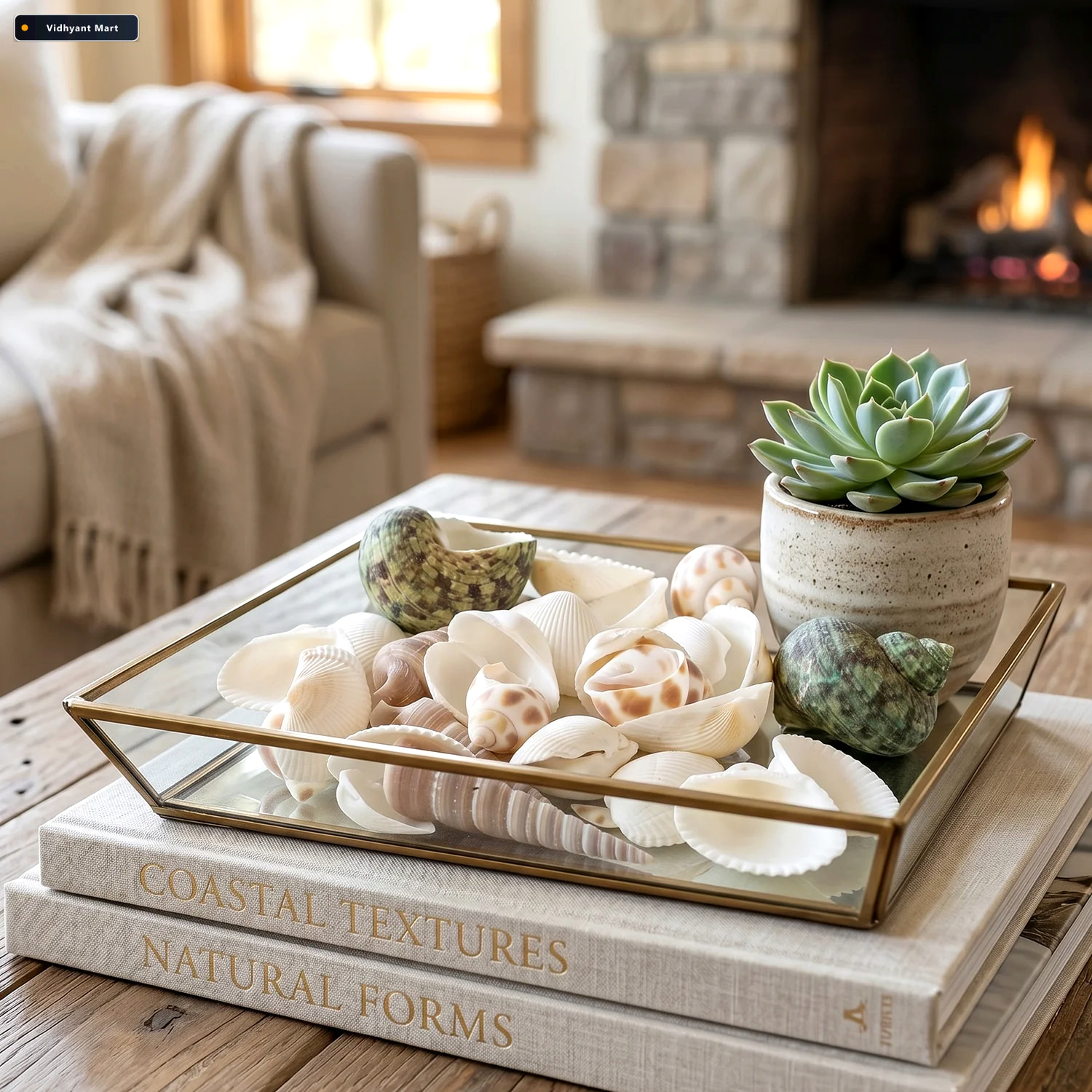 Vidhyant Mart Natural Decorative Seashells Set Coastal Charm For 3