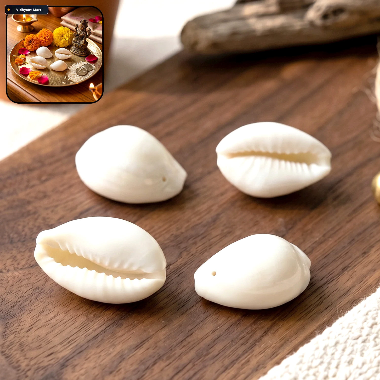 Vidhyant Mart Natural Kaudi Cowrie Shells Ideal For Pooja Decor 1