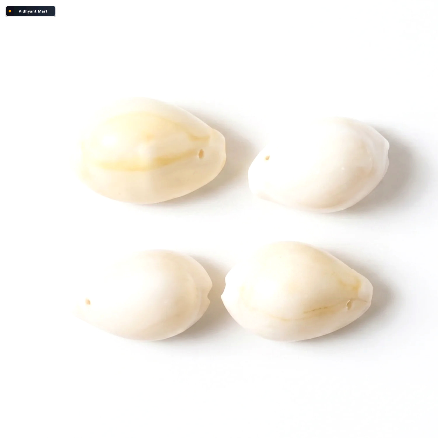 Vidhyant Mart Natural Kaudi Cowrie Shells Ideal For Pooja Decor 3