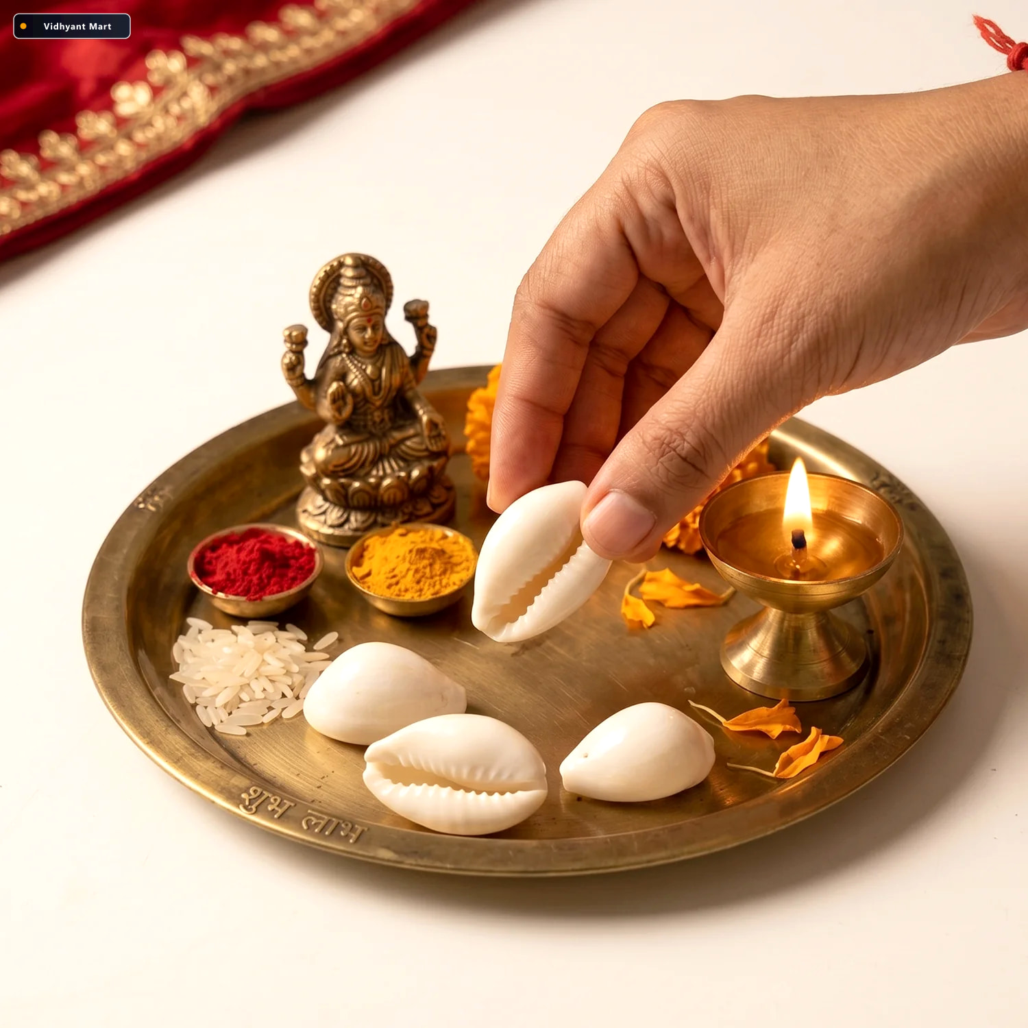 Vidhyant Mart Natural Kaudi Cowrie Shells Ideal For Pooja Decor 4