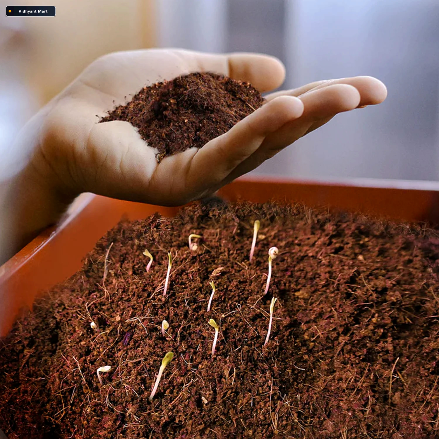 Vidhyant Mart Organic Cocopeat Block 1 Kg Potting Mix For Plants 2