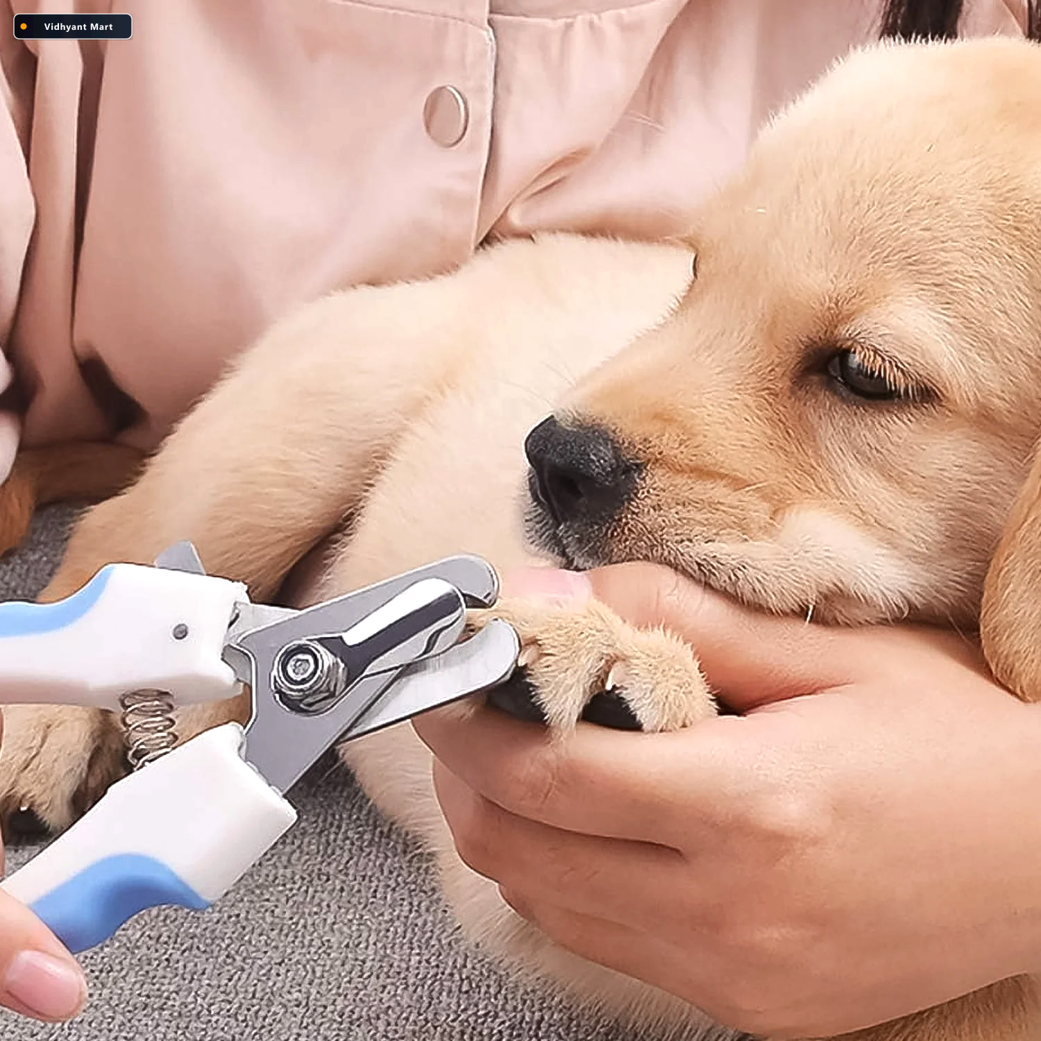 Vidhyant Mart Pet Nail Clipper Safe Comfortable Grooming Kit For 3
