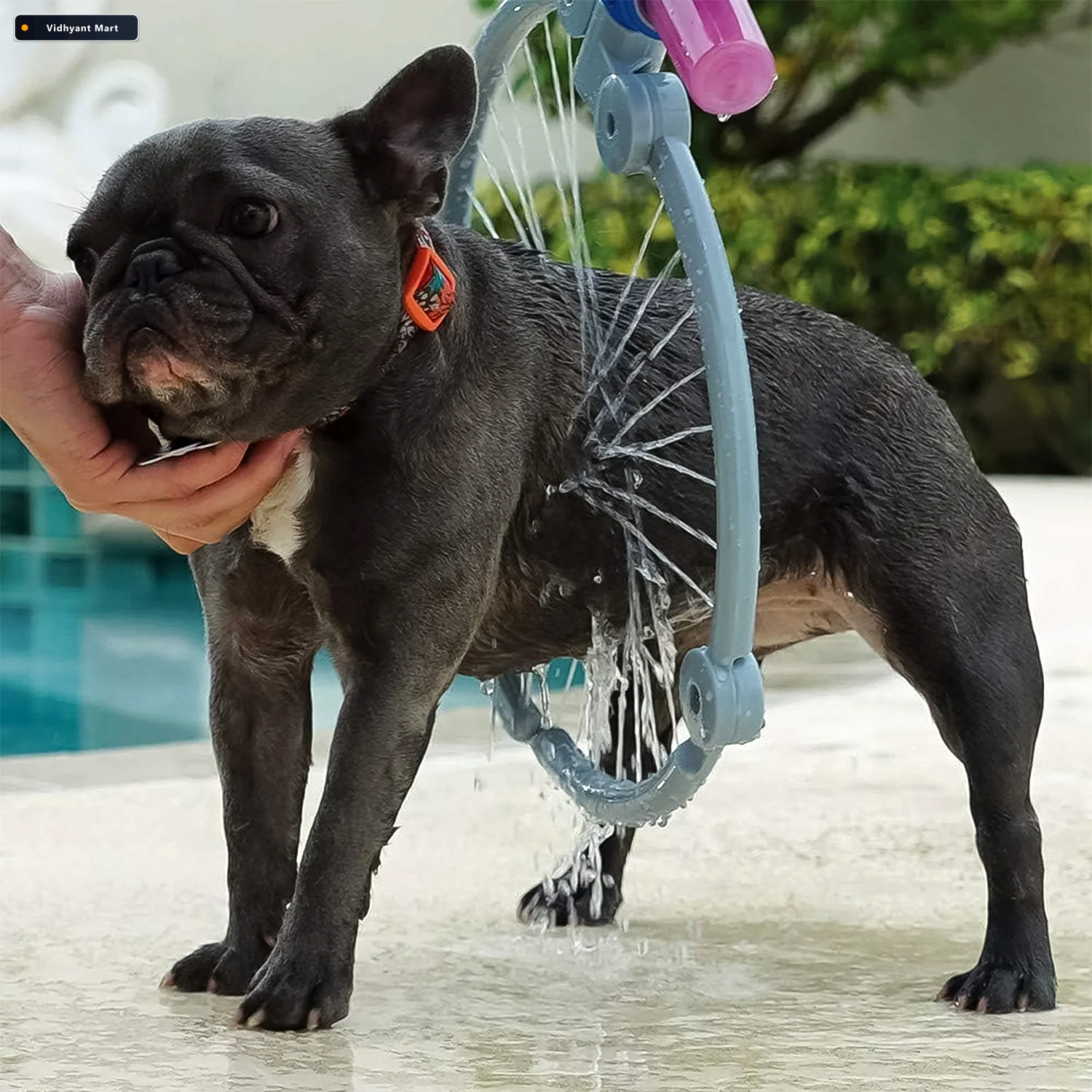 Vidhyant Mart Pet Shower Sprayer 360 Cat Dog Grooming Tool Pureb 2