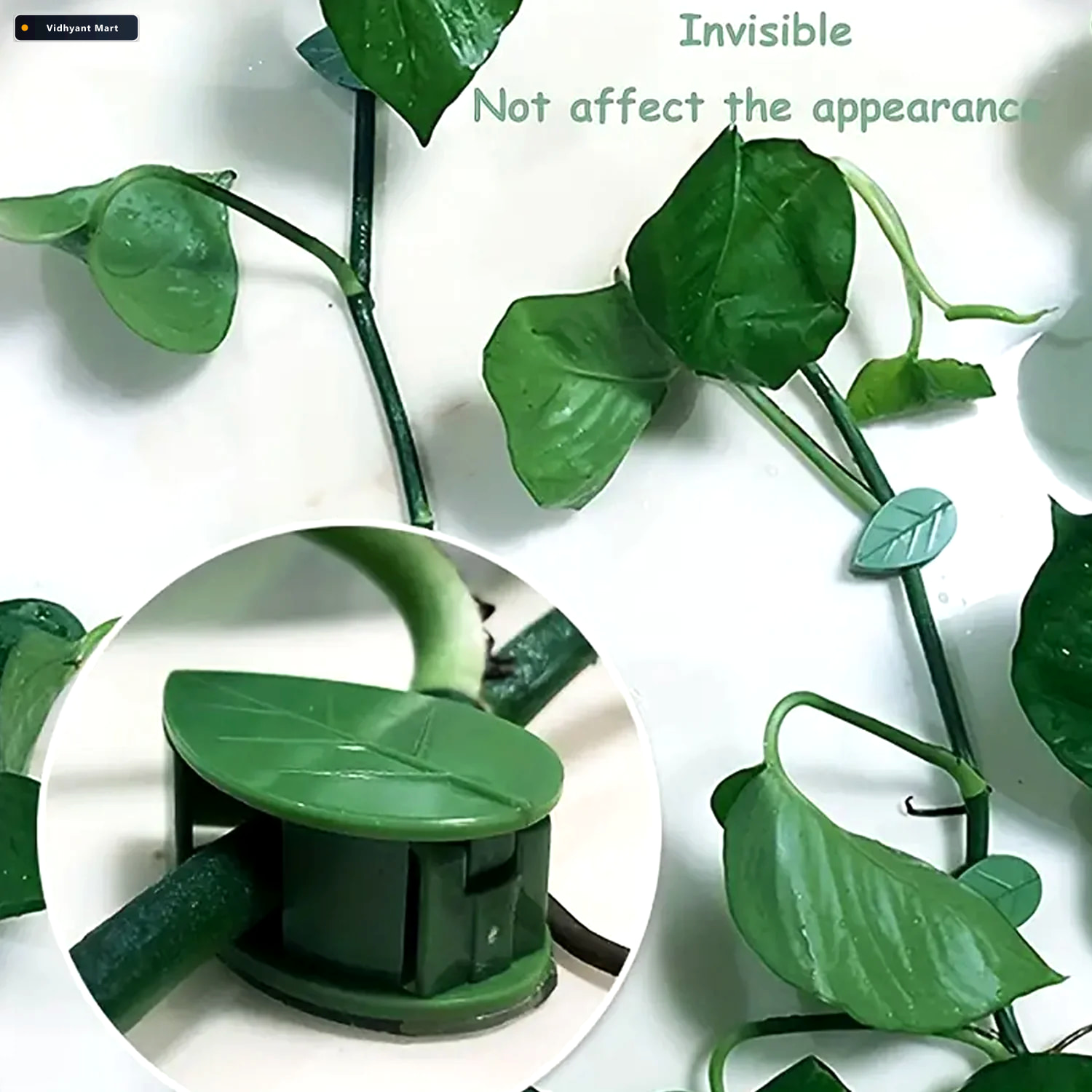 Vidhyant Mart Plant Climbing Wall Clips Self Adhesive Invisible 1