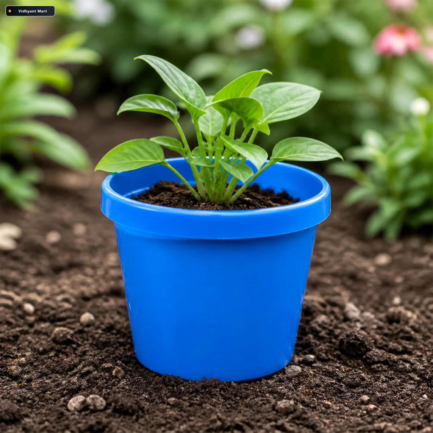 Vidhyant Mart Round Plastic Planter Pot Set For Indoor Outdoor P 3