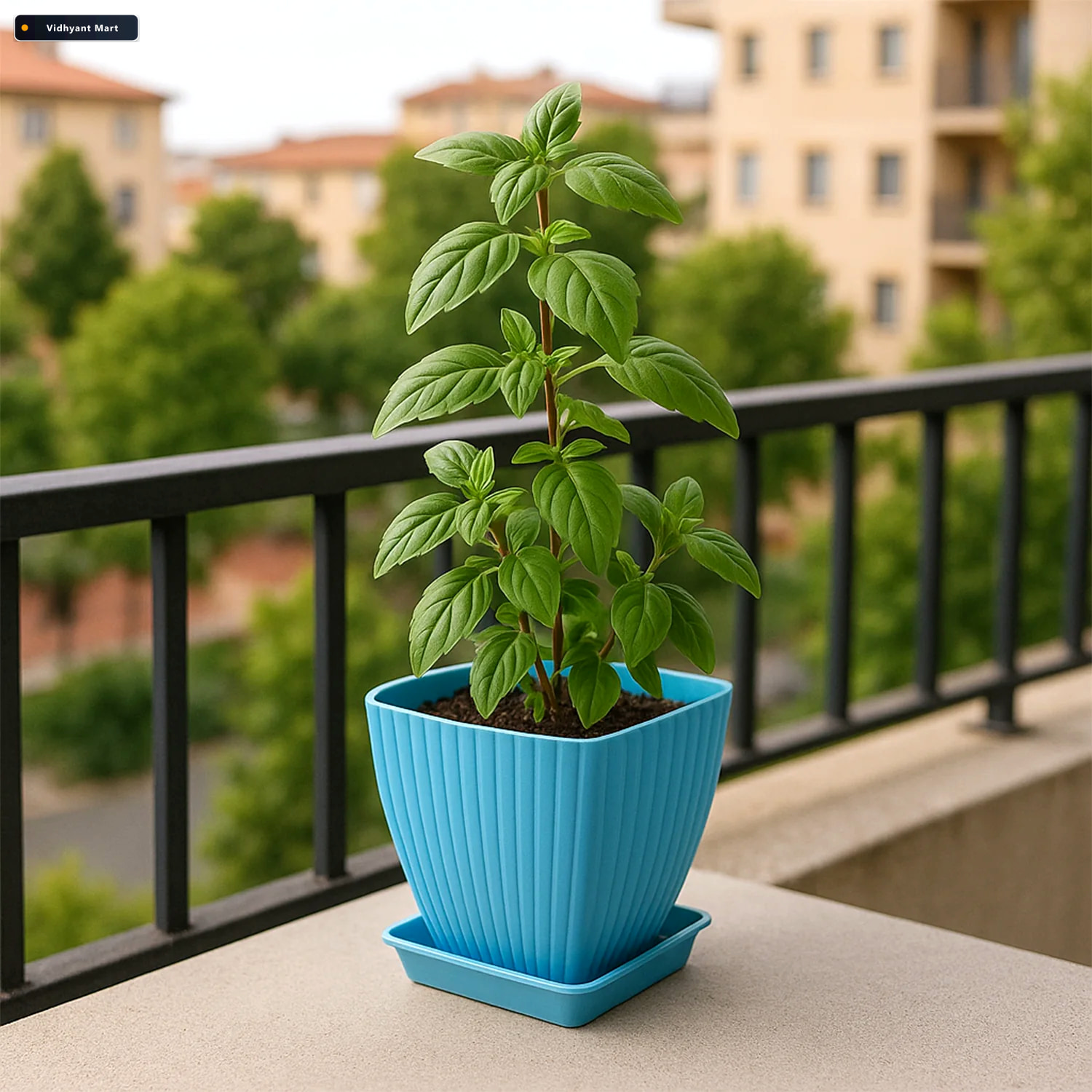 Vidhyant Mart Square Plastic Flower Pots Set Of 5 Durable Lightw 3
