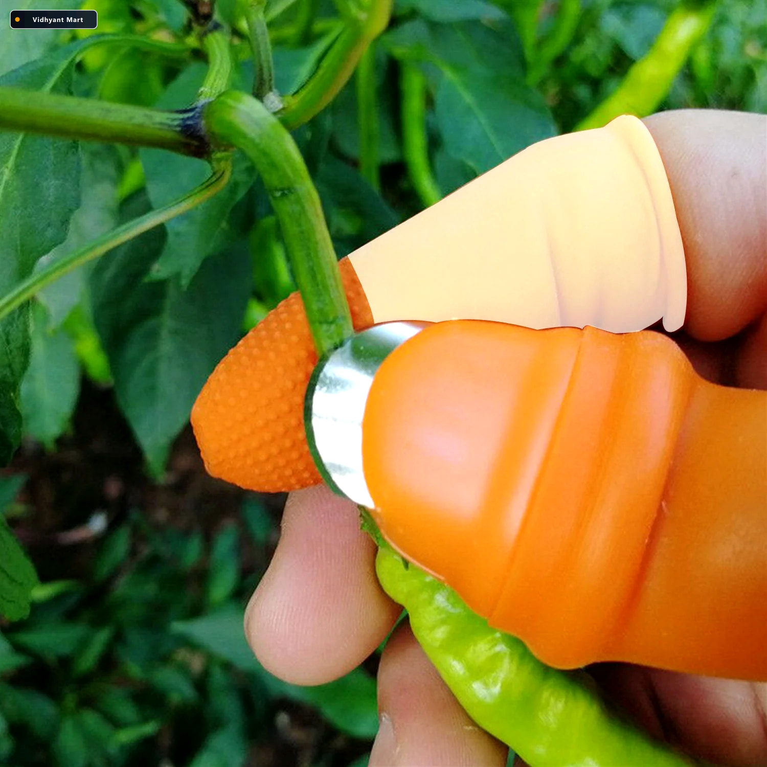 Vidhyant Mart V Thumb Cutter For Vegetables Fruits Safe Handy Qu 2