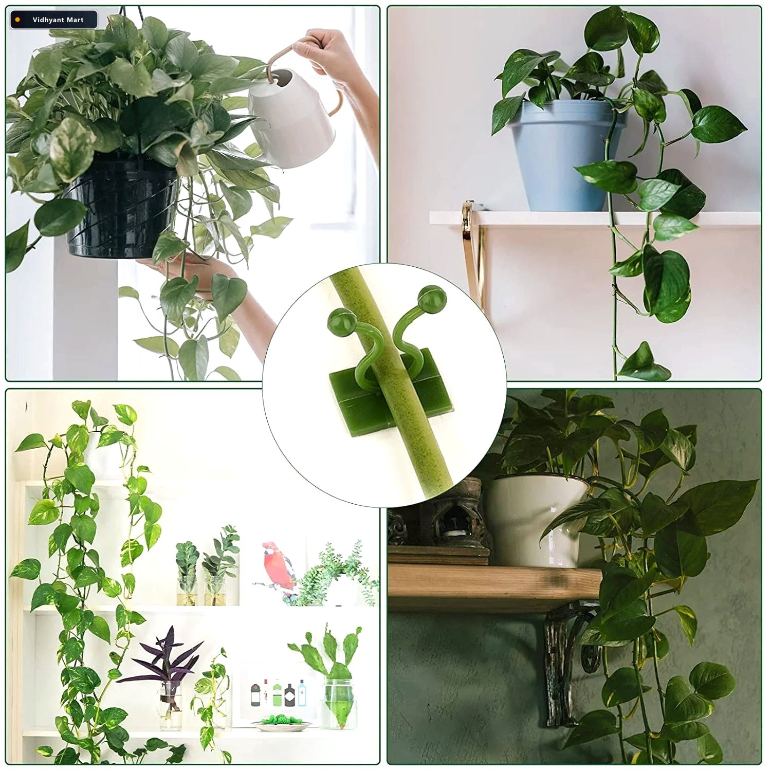 Vidhyant Mart Wall Plant Clips 30 Pcs Self Adhesive Support Deod 2